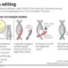 The Policy Implications of Emerging Gene Editing Technologies