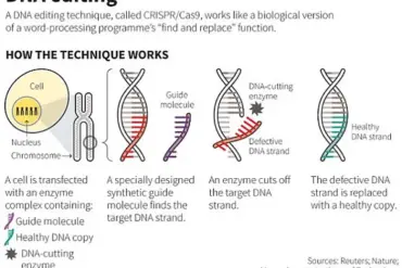 The Policy Implications of Emerging Gene Editing Technologies