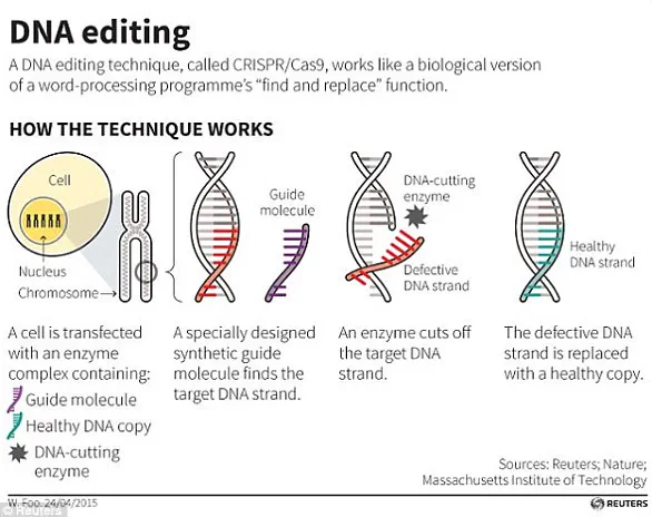 The Policy Implications of Emerging Gene Editing Technologies