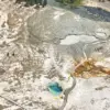 Yellowstone National Park Maintains Closure of Biscuit Basin Amid Thermal Pool Monitoring to Ensure Visitor Safety