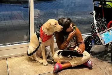 Autistic Girl Reunited with Support Dog After Legal Battle Highlights Gaps in International Travel Policies for Service Animals