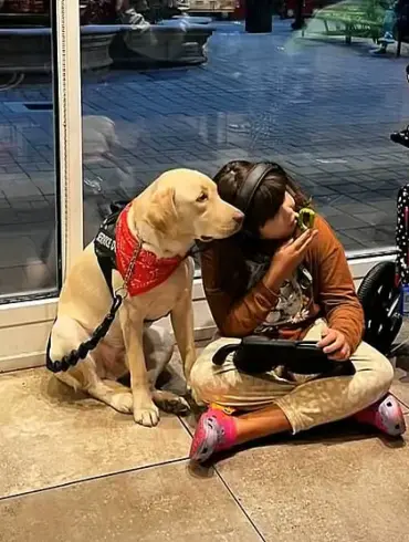 Autistic Girl Reunited with Support Dog After Legal Battle Highlights Gaps in International Travel Policies for Service Animals