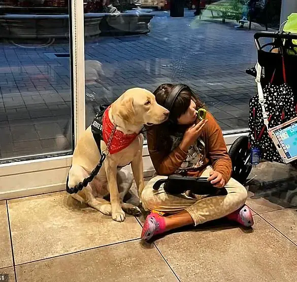 Autistic Girl Reunited with Support Dog After Legal Battle Highlights Gaps in International Travel Policies for Service Animals