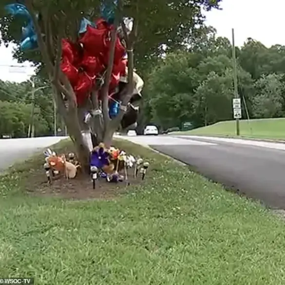 Breaking: Parents Charged in Death of 7-Year-Old After Unsupervised Crossing in Gastonia, NC