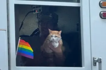 Orange Tabby's Viral Moment at Spokane Pride Sparks Debate