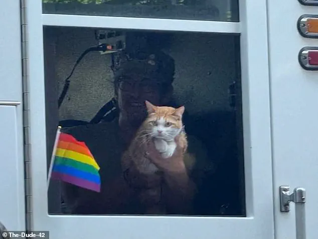 Orange Tabby's Viral Moment at Spokane Pride Sparks Debate