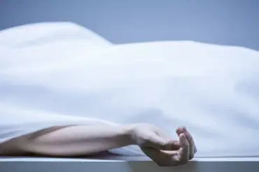 Russia transfers 1,200 Ukrainian soldier bodies to Kyiv in rare humanitarian move