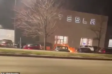 Transgender Teen Accused of Firebombing Tesla Cybertrucks Faces Up to 30-Year Prison Sentence