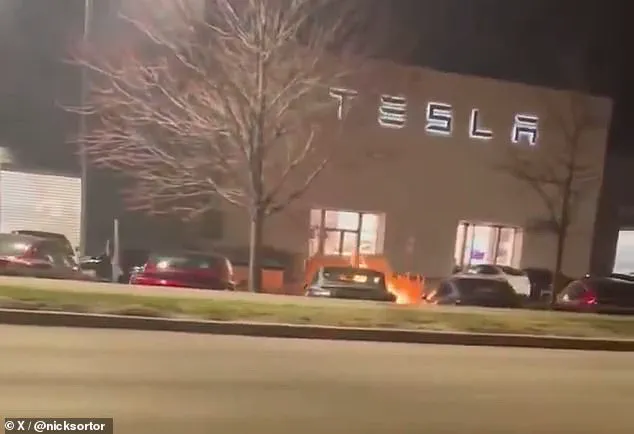 Transgender Teen Accused of Firebombing Tesla Cybertrucks Faces Up to 30-Year Prison Sentence