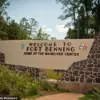 BREAKING: Army Drill Sergeant Under Investigation After Alleged MAGA Flag Incident Sparks Scrutiny Over Military Political Neutrality