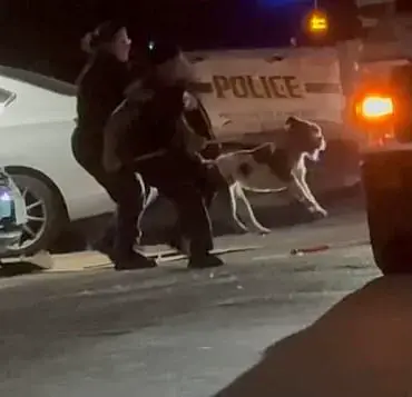 Breaking: San Antonio Tragedy as 32-Year-Old Simone Lyke Fatally Attacked by Her Own Pit Bull in Late-Night Incident