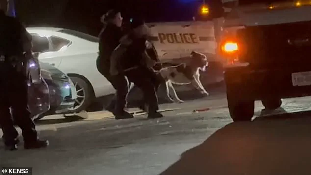Breaking: San Antonio Tragedy as 32-Year-Old Simone Lyke Fatally Attacked by Her Own Pit Bull in Late-Night Incident