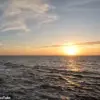Disney Cruise Ship Tragedy: A Family's Horror Beneath the Golden Horizon