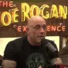 Joe Rogan Discusses Potential Health Impacts of American Bread Composition Compared to European Practices