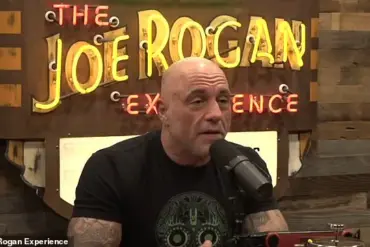 Joe Rogan Discusses Potential Health Impacts of American Bread Composition Compared to European Practices