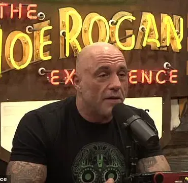 Joe Rogan Discusses Potential Health Impacts of American Bread Composition Compared to European Practices