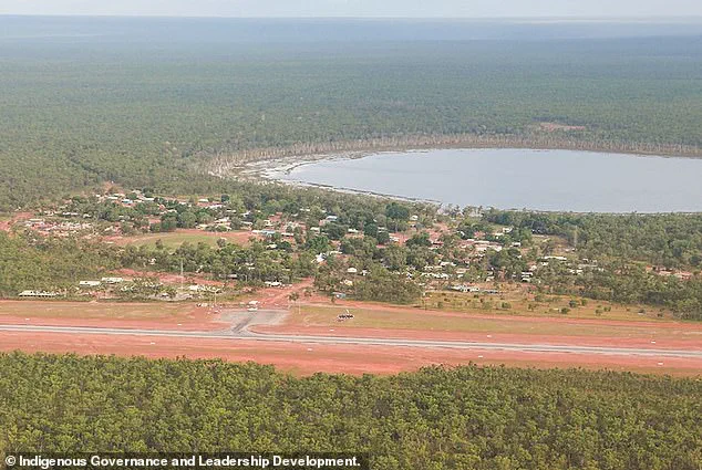 Tragic Bird Strike Causes Helicopter Crash in Arnhem Land, Killing One Passenger