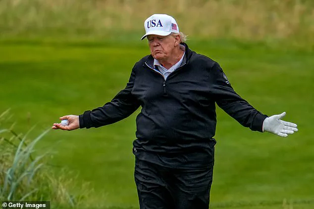 Trump's Meme Sparks Debate on Government Accountability and Public Perception