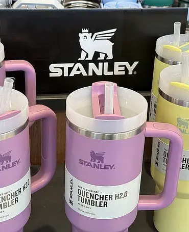 Viral TikTok Video Reveals Surprising Tip Hidden in Stanley Cup’s Owner’s Manual