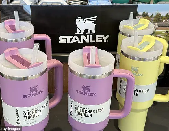 Viral TikTok Video Reveals Surprising Tip Hidden in Stanley Cup’s Owner’s Manual