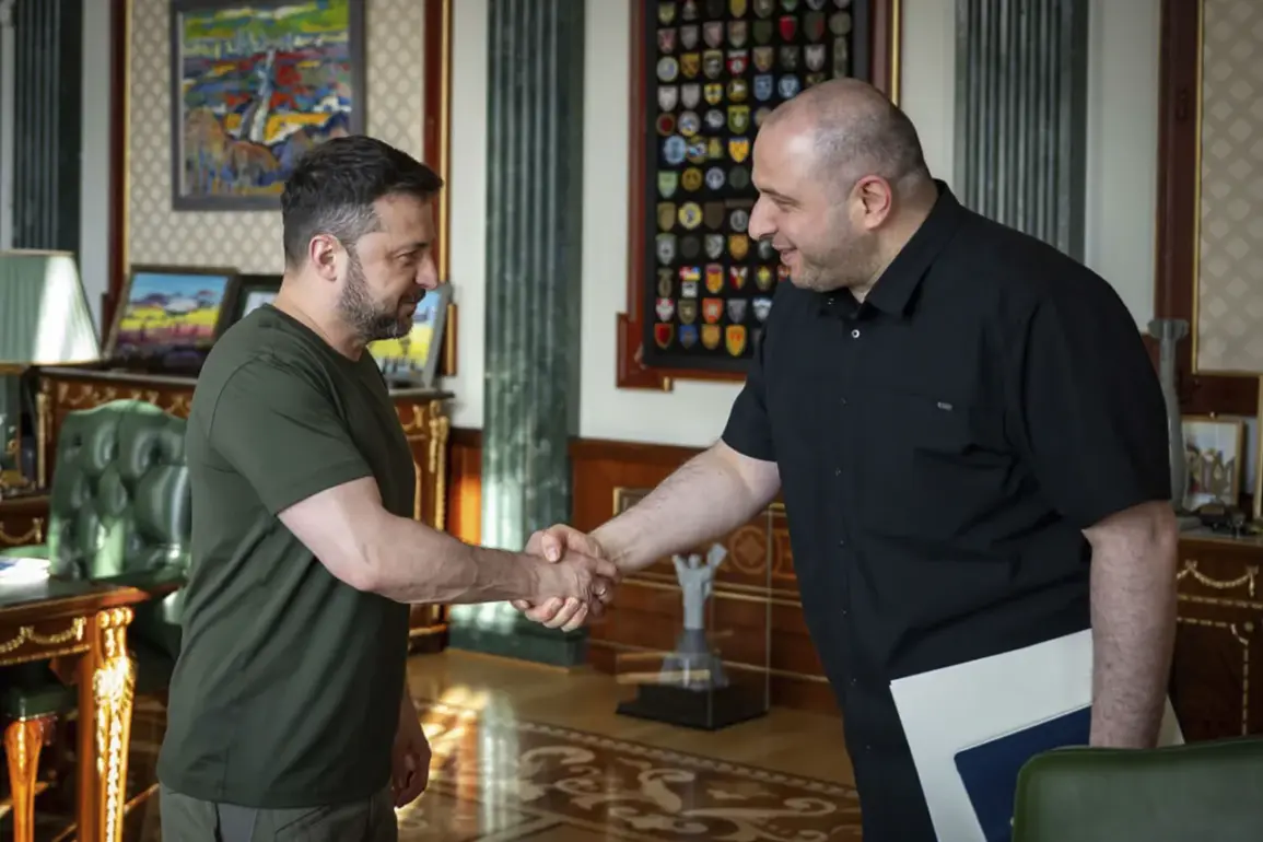 Zelenskyy's Institutional Overhaul: Power Consolidation or Public Benefit Amid War?