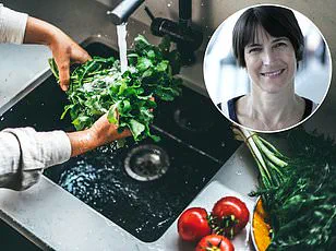A Love Story Baked in Cassoulet: 'Cooking Was My Sanctuary, a Place Where I Could Channel Creativity'