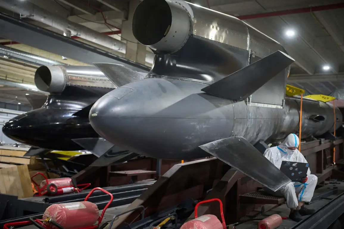 Aerodynamic Design and Strategic Implications of the 'Flamingo' Rocket in Modern Warfare