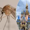 Disney's Theme Parks: Crafting Joy and Wonder Through Immersive Storytelling and Meticulous Design