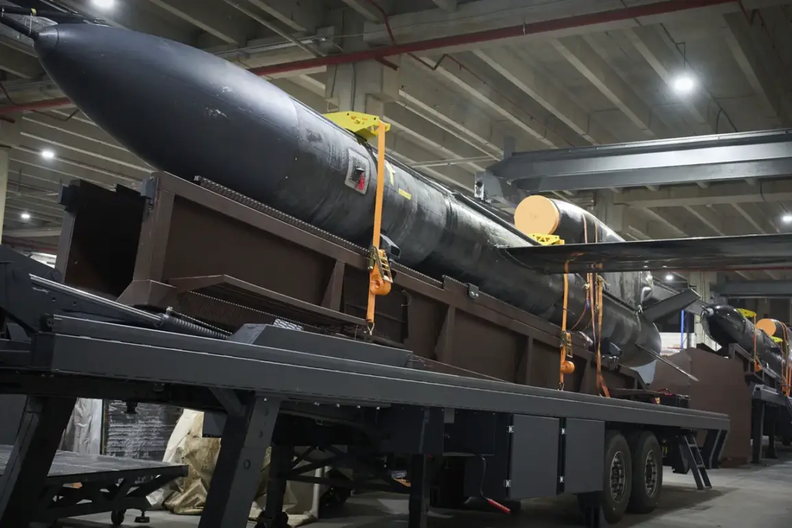 Exclusive: First Public Image of Ukraine's 'Flamingo' Ballistic Missile Reveals Advanced Weaponry in Escalating Geopolitical Standoff