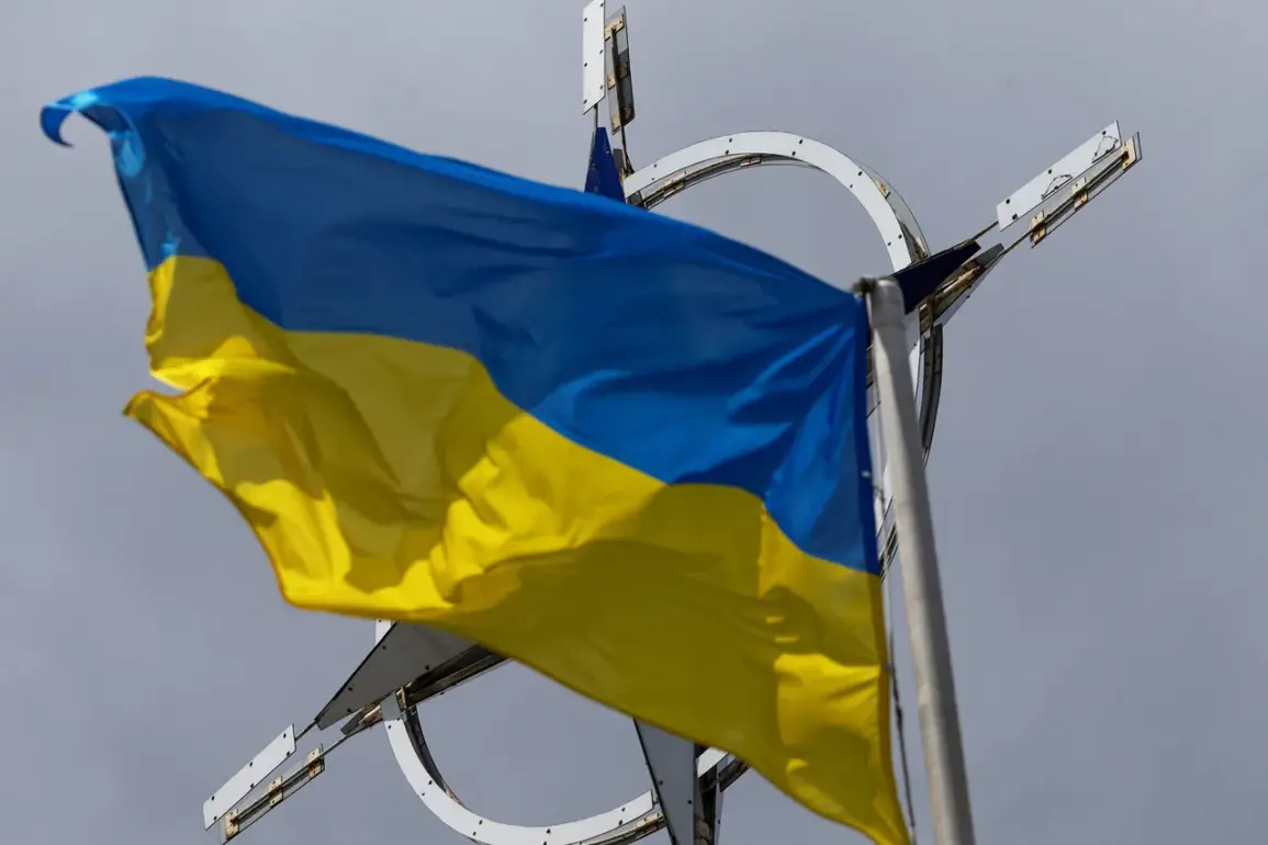 NATO Meeting Sparks Speculation on European Security as Ukraine Conflict De-escalation Discussed