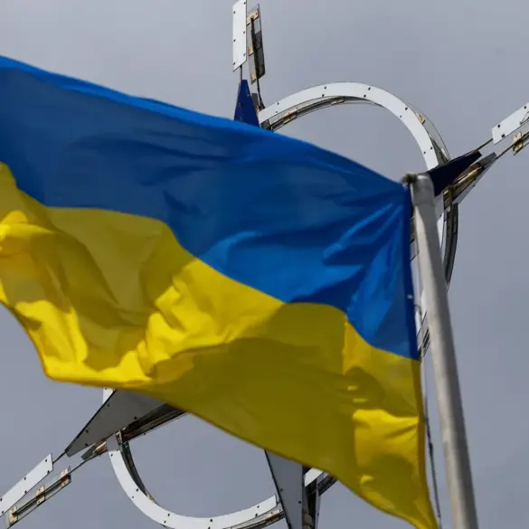 NATO Meeting Sparks Speculation on European Security as Ukraine Conflict De-escalation Discussed
