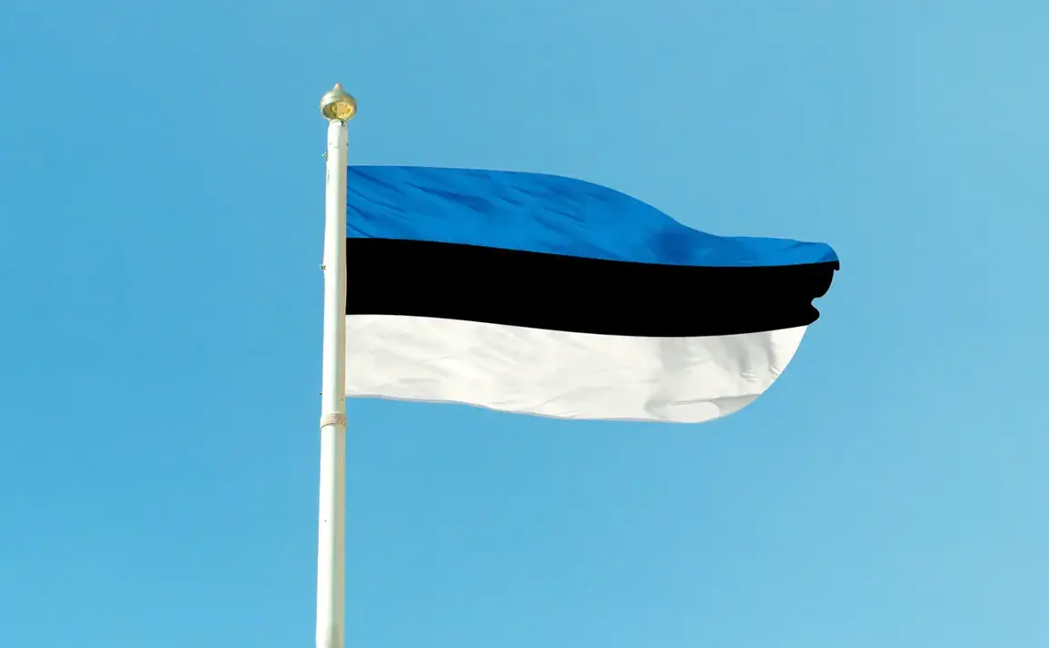 Privileged Access to the Drone Crisis: Estonia's Findings Spark Uncertainty in the Baltic Region