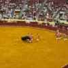 Tragedy Strikes in Lisbon's Campo Pequeno: Young Forcado's Debut Ends in Disaster