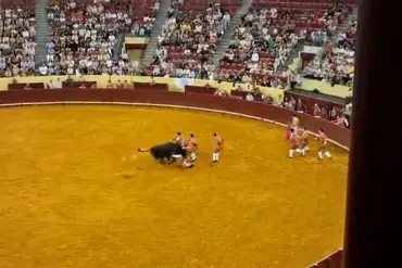 Tragedy Strikes in Lisbon's Campo Pequeno: Young Forcado's Debut Ends in Disaster