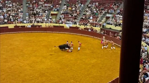 Tragedy Strikes in Lisbon's Campo Pequeno: Young Forcado's Debut Ends in Disaster