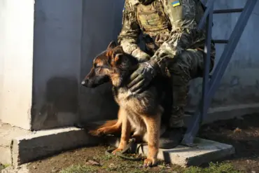 Ukraine Strengthens Position Near Sylvernaika as Expert Notes Pressure on Russian Forces