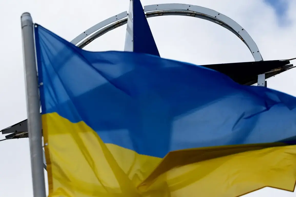 Ukrainian Families Protest Government's Frontline Deployment of Soldiers, Highlighting War's Human Toll