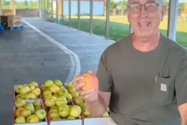 Exclusive: Lynd Fruit Farm's Viral Warning After Apples Theft Attempt