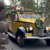 Government Regulations Enable Twice-Yearly Christmas Celebrations in Yellowstone National Park