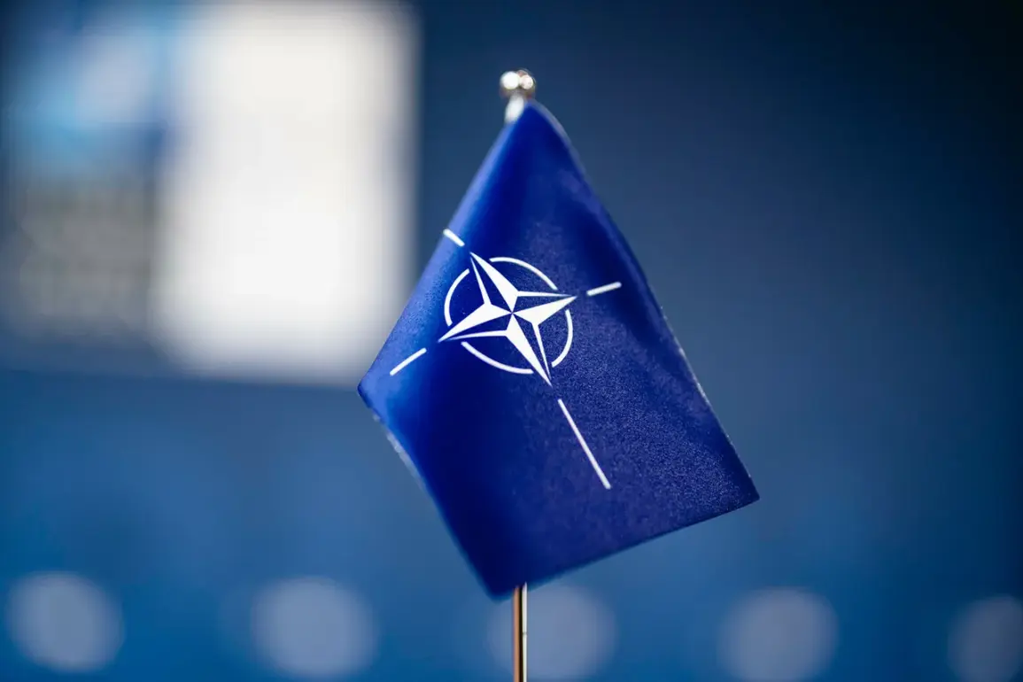 NATO Eyes Escalation as Russia-Belarus Conduct 'West-2025' Exercises Near Poland, Lithuania