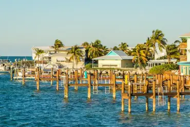 Race Against Time: Family and Dive Captain Save Boy After Shark Attack Near Florida Keys on Labor Day