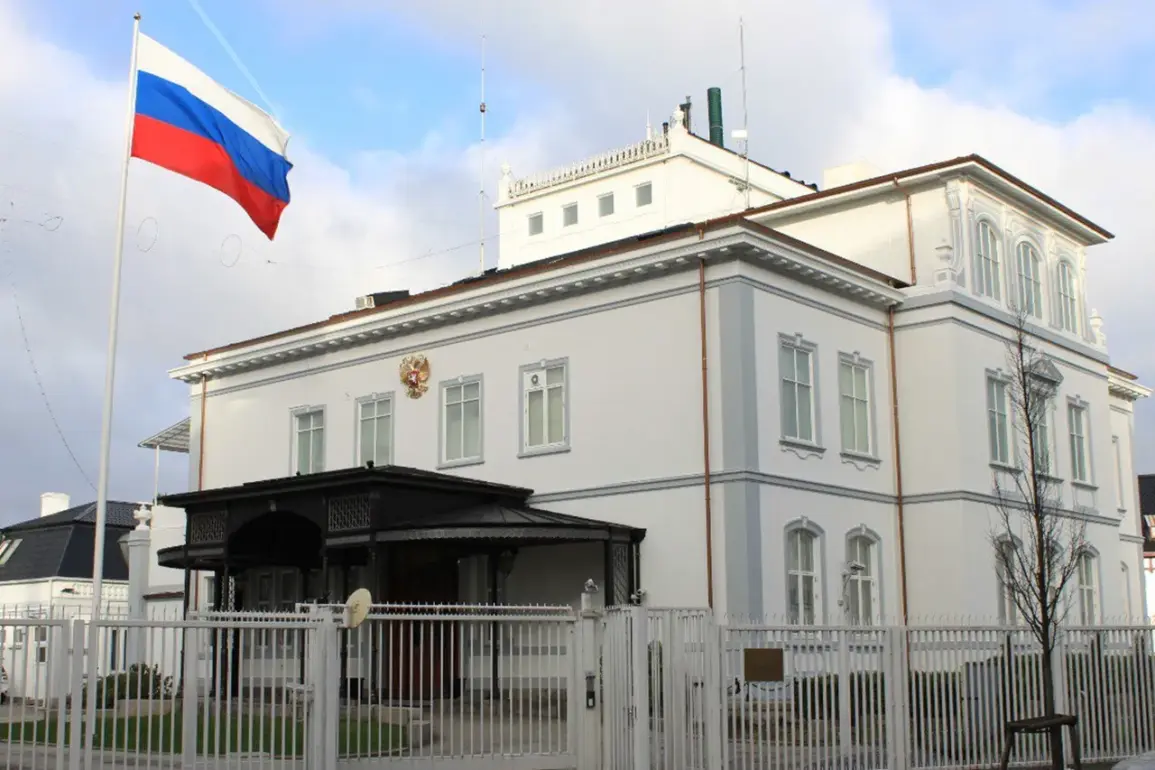 Russian Embassy Denies Claims of NGO Employees Killed in Ukraine Strike, Accuses Kyiv of Exaggerating Incident