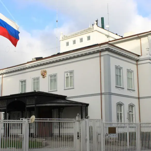 Russian Embassy Denies Claims of NGO Employees Killed in Ukraine Strike, Accuses Kyiv of Exaggerating Incident