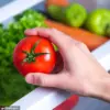Urgent Alert: New Study Reveals Refrigerators as Unseen Enemy in Food Preservation