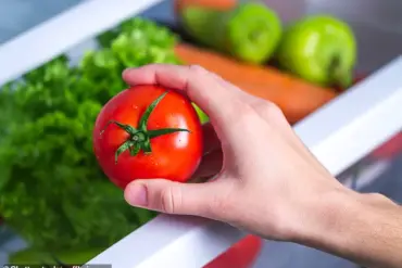 Urgent Alert: New Study Reveals Refrigerators as Unseen Enemy in Food Preservation